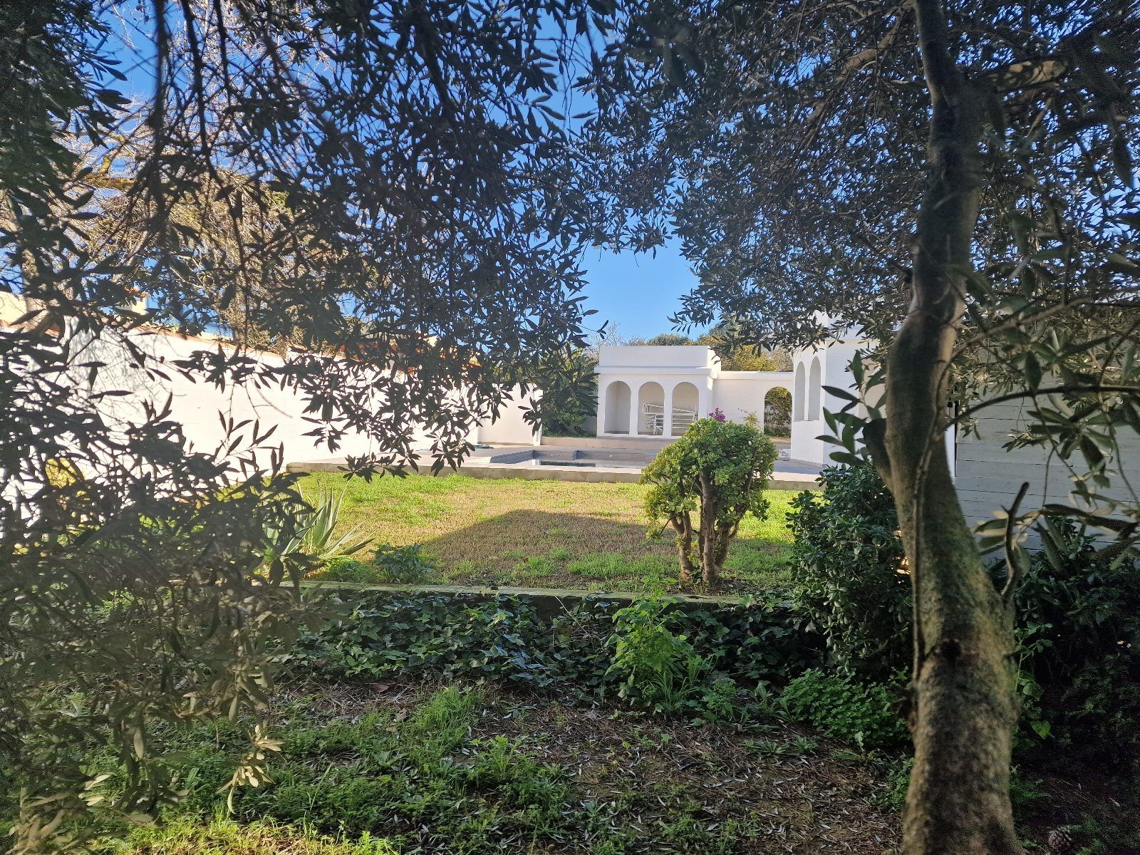 Casa Bliss