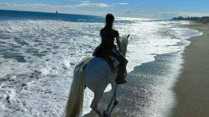 Aventura Ecuestre (Horse Riding)